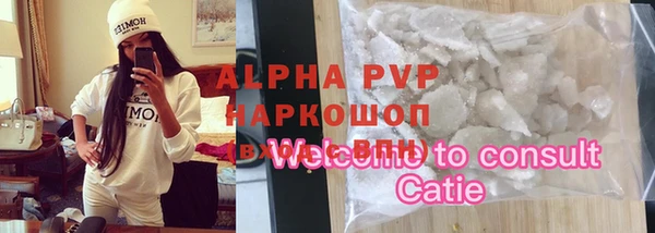 ГАЛЛЮЦИНОГЕННЫЕ ГРИБЫ Белокуриха