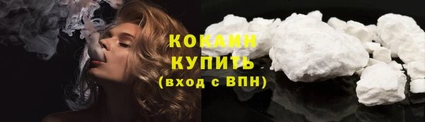ГАЛЛЮЦИНОГЕННЫЕ ГРИБЫ Белокуриха