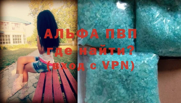 ГАЛЛЮЦИНОГЕННЫЕ ГРИБЫ Белокуриха